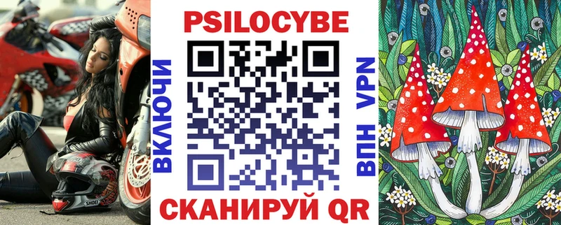 Галлюциногенные грибы Cubensis  где купить наркотик  Питкяранта 